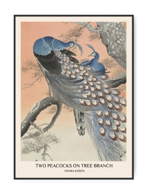 Ohara Koson, Two Peacocks, 50 x 70 cm plakat