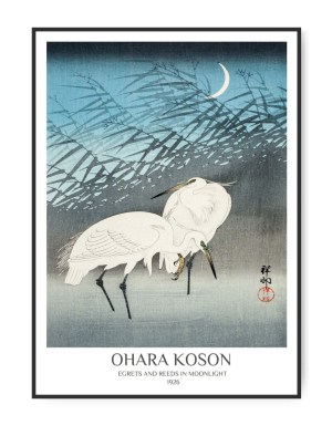 Ohara Koson, Egrets and reeds, 50 x 70 cm plakat