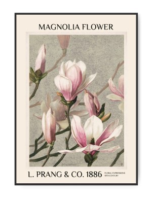L. Prang & co, Magnolias, 50 x 70 cm plakat
