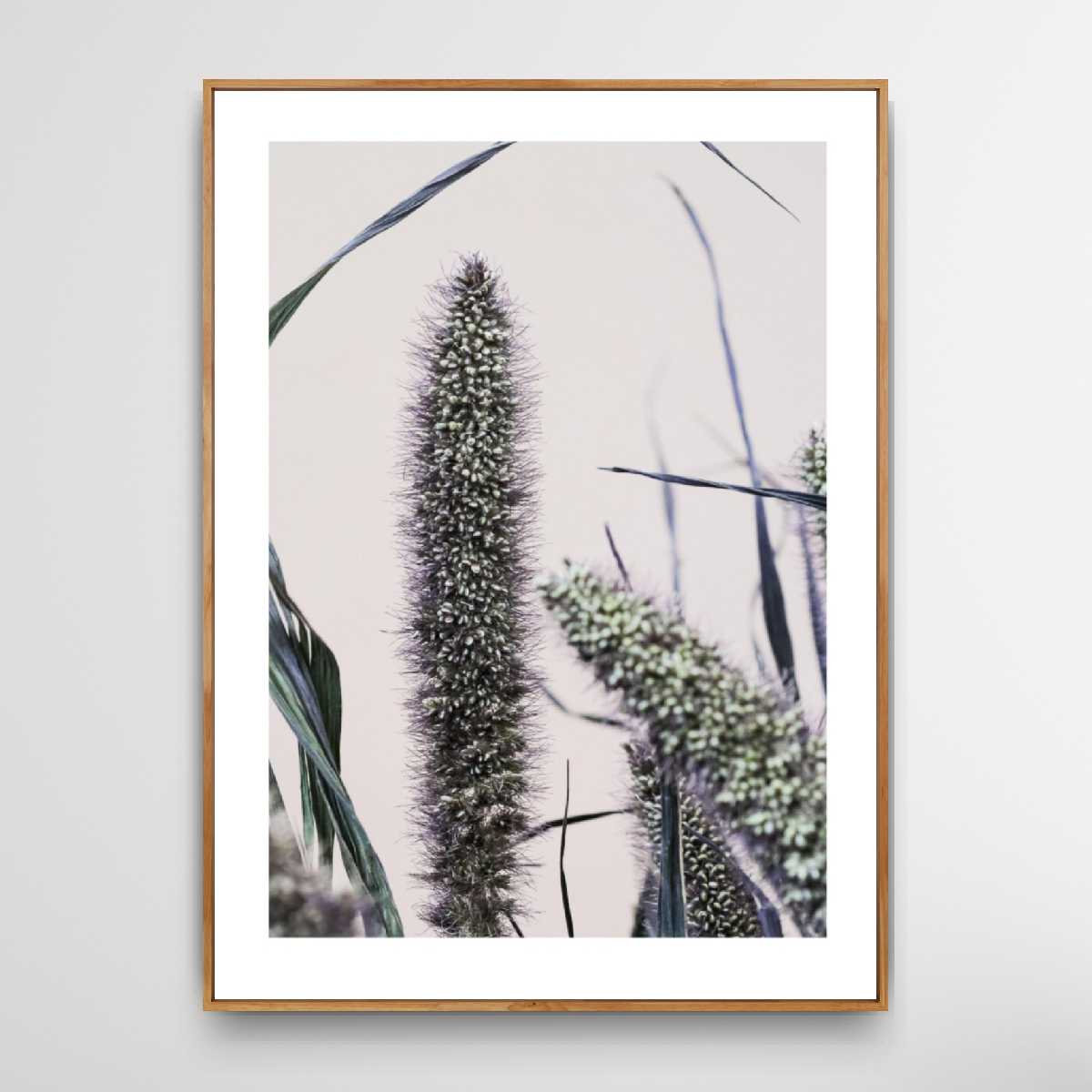 Naturplakater 50 x 70 cm.