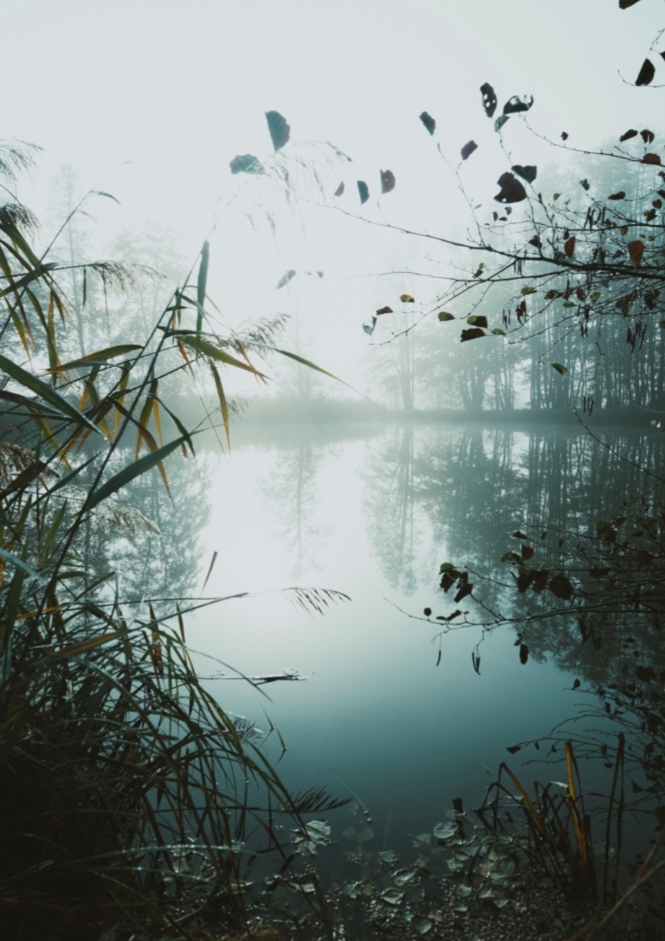 Beatutiful morning lake, A3, Mål 29.7 x 42 cm