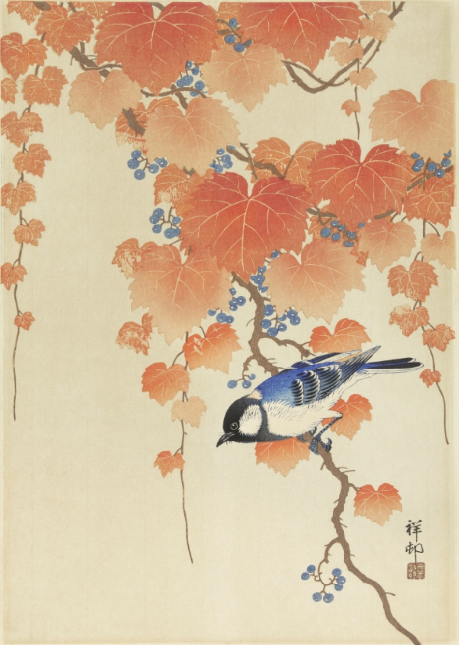 Ohara Koson, Great Tit Branch, A4, 21 x 29.7cm