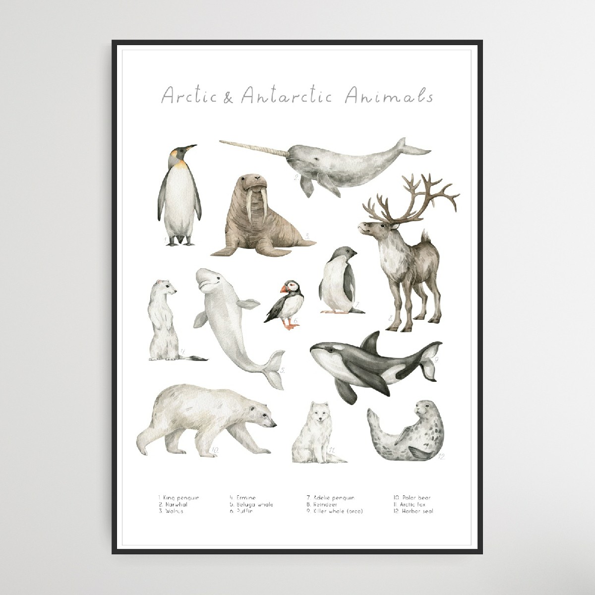 Arctic & Antarctic Animals ,Mål 50 x 70 cm.