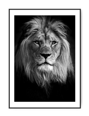 Løve S/H plakat