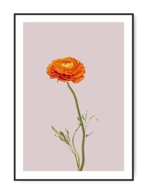 Orange blomst A3 29.7 x 42 cm plakat