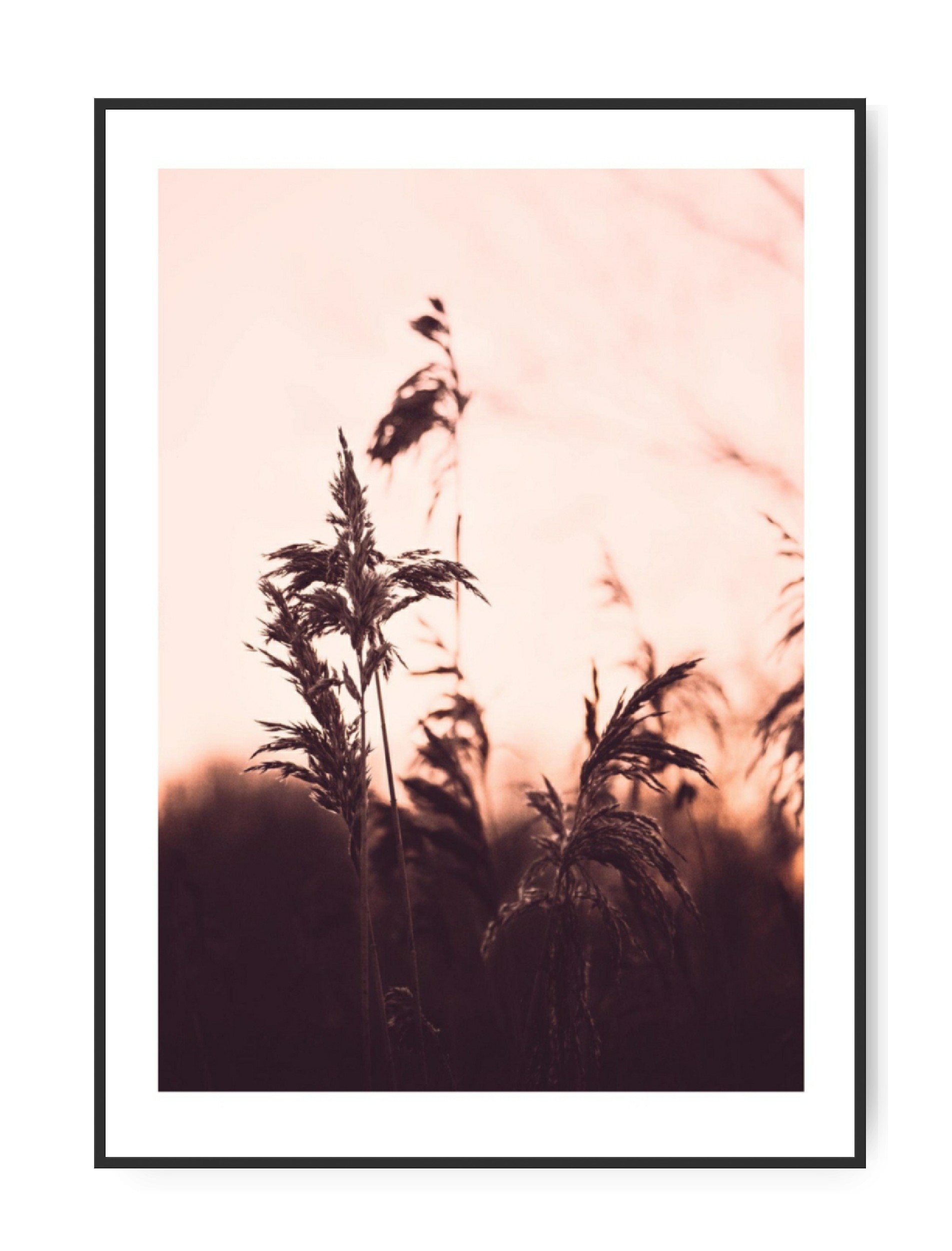 Field at dawn, A3 29,7 x 42 cm plakat