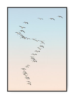 Morgentur, 50 x 70 cm plakat