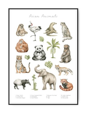 Asian Animals, 50 x 70 cm plakat