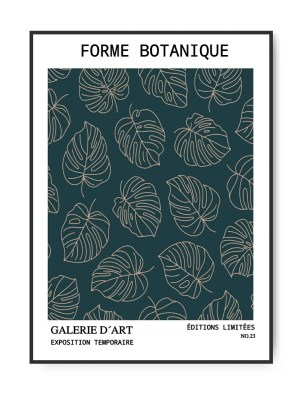 Forme Botanique no.23, 50 x 70 cm plakat
