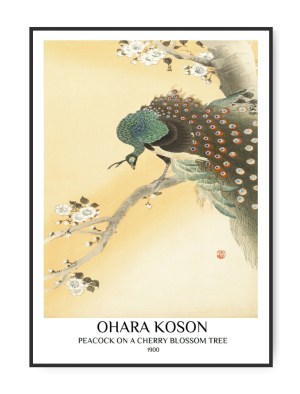 Ohara Koson, Peacock on a Cherry blossom tree, 50 x 70 cm plakat