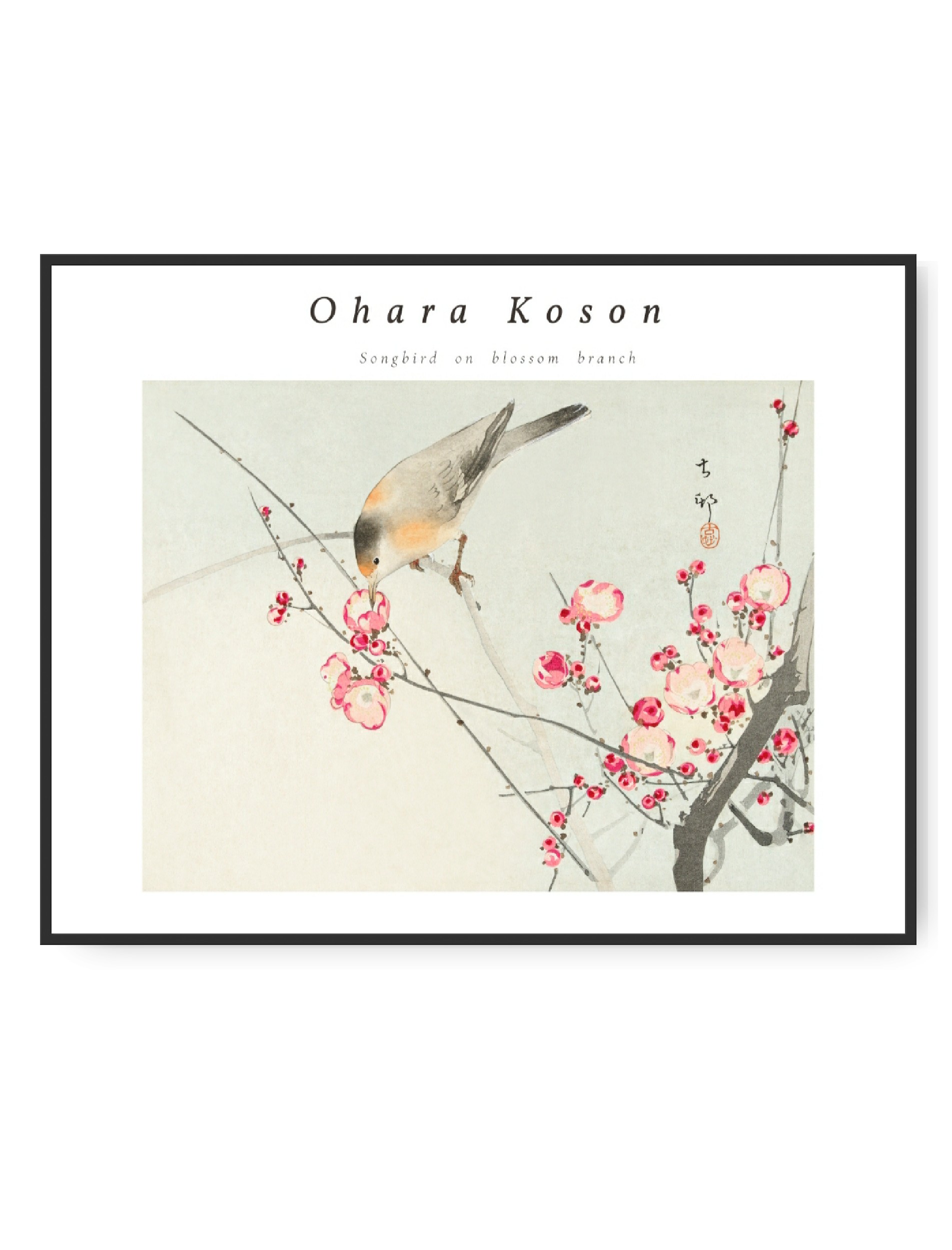 Ohara Koson, Songbirds on blossom Branch, A4, 21 x 30 cm plakat