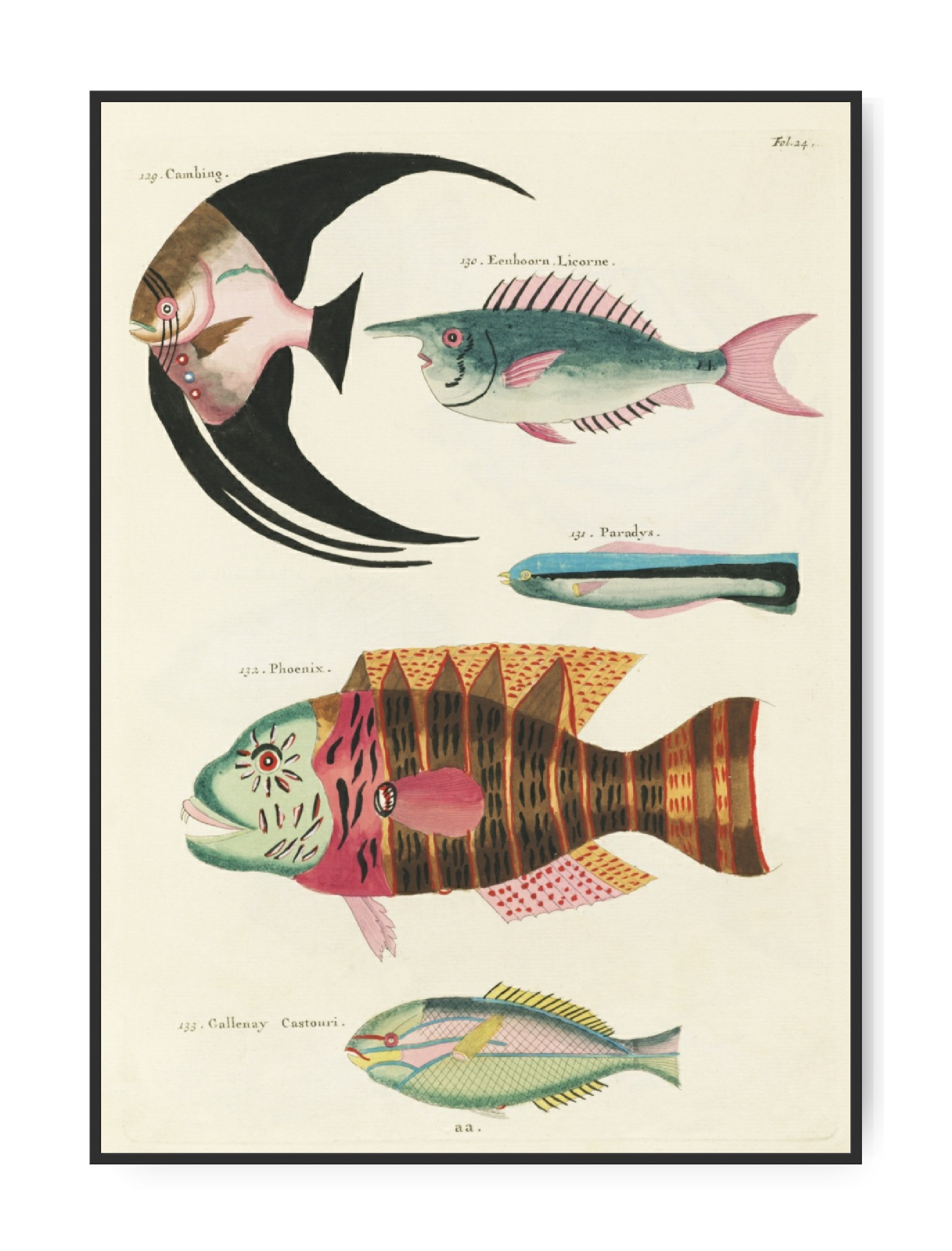 Louis Renard, Fishes, A3 30 x 42 cm plakat