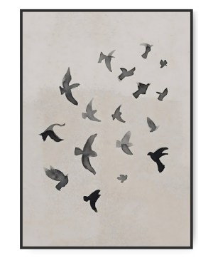 Black Birds, 50x70 cm Plakat