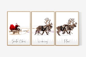 Santa Claus is coming, 3´er plakatsæt i str. A3