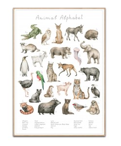Animal Alphabet, Str. A3