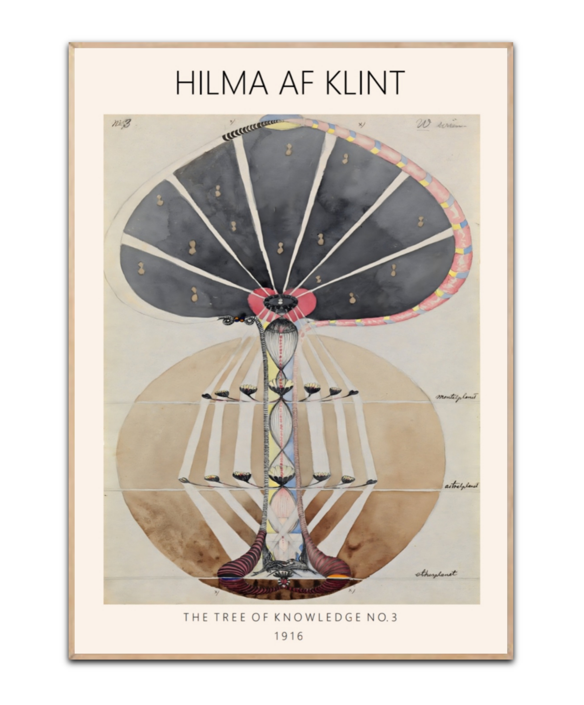 Hilma Af Klint, The Tree of knowledge No. 3, 50x70 cm Plakat
