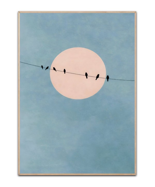 Birds moon, A3 Plakat