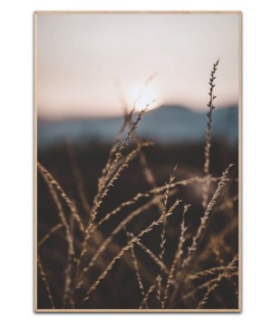 Solnedgang, 50 x 70 cm plakat