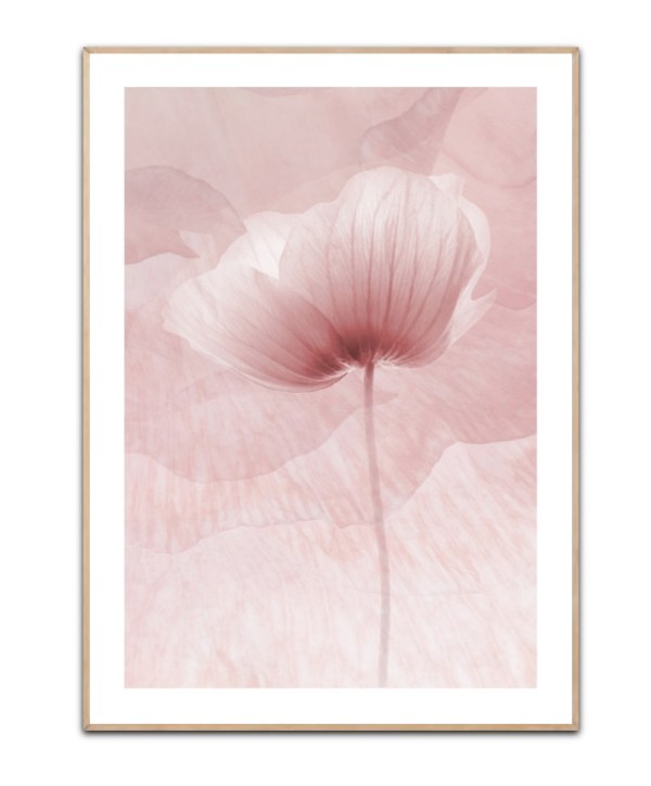 Shapes of Pink, A3 30 x 42 cm plakat