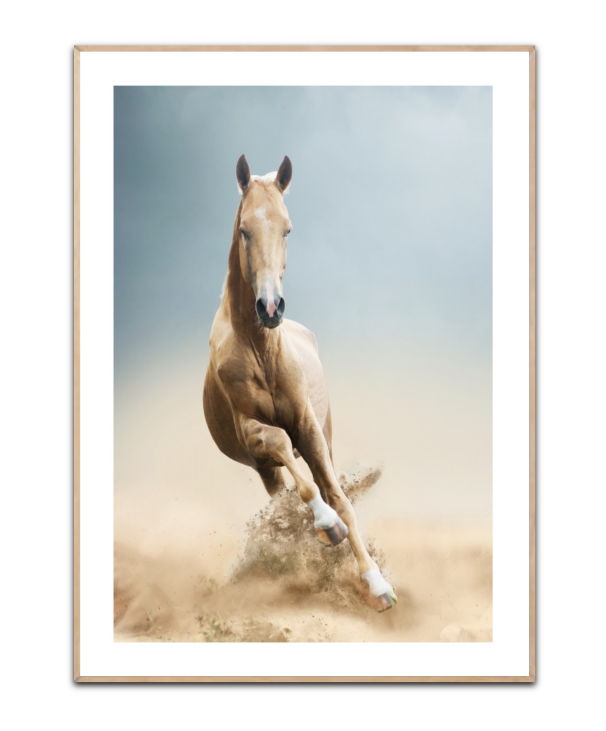 Running Horse brown, A3 30 x 42 cm plakat