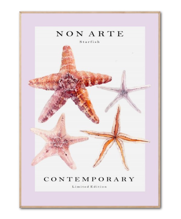 Non Arte - Starfish, 50 x 70 cm plakat