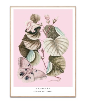 Kamisaka - Summer butterfly, 50x70 plakat