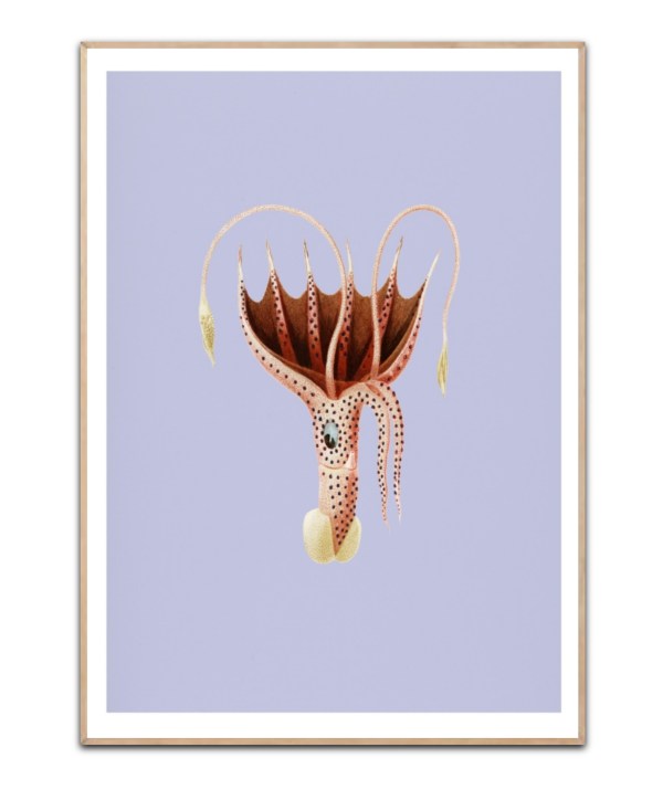 Umbrella Octopus, A3 plakat