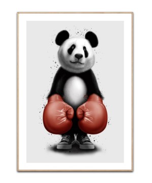 PANDA BOXER - Adam Lawless, 50x70 plakat