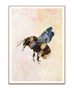 Grunge Watercolour Bee By Sarah Manovski plakat