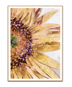Golden sunflower By Sarah Manovski plakat