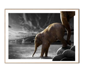 The Push By Fadil Roze plakat