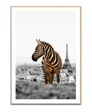 No Way Home By Fadil Roze, 50x70 plakat