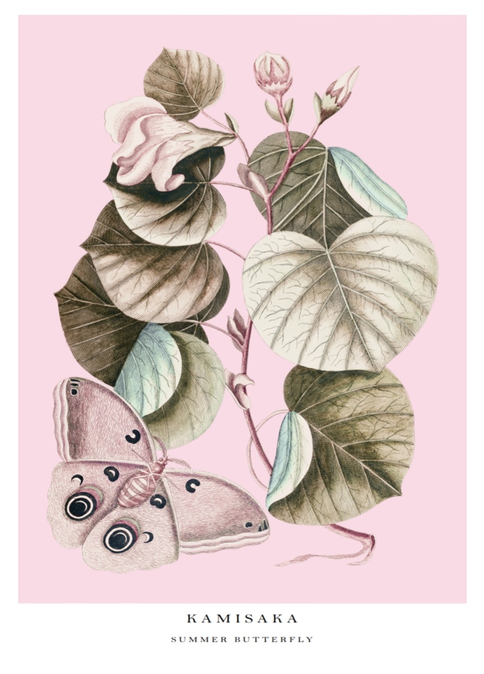 Kamisaka - Summer butterfly, 50x70 plakat - Billede 2