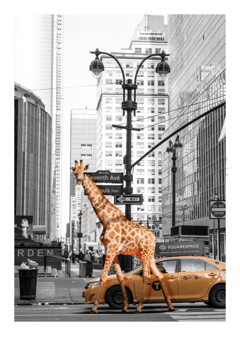 Morning Walk By Fadil Roze, 50x70 plakat - Billede 2