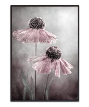 Duet By Mandy Disher, - Canvas Print