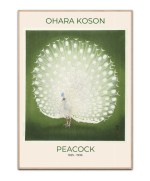 Ohara Koson, Peacock Grøn plakat, 50x70 cm