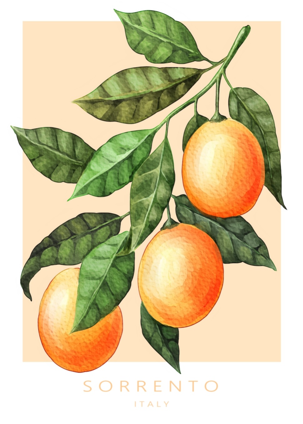 Sorrento, 50x70 cm plakat - Billede 2