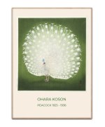 Ohara Koson Peacock Green 70x100 cm plakat
