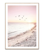 Summer Sunrise - A3 Plakat