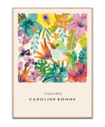 Tropical Bird - Caroline Bonne - 50x70 plakat