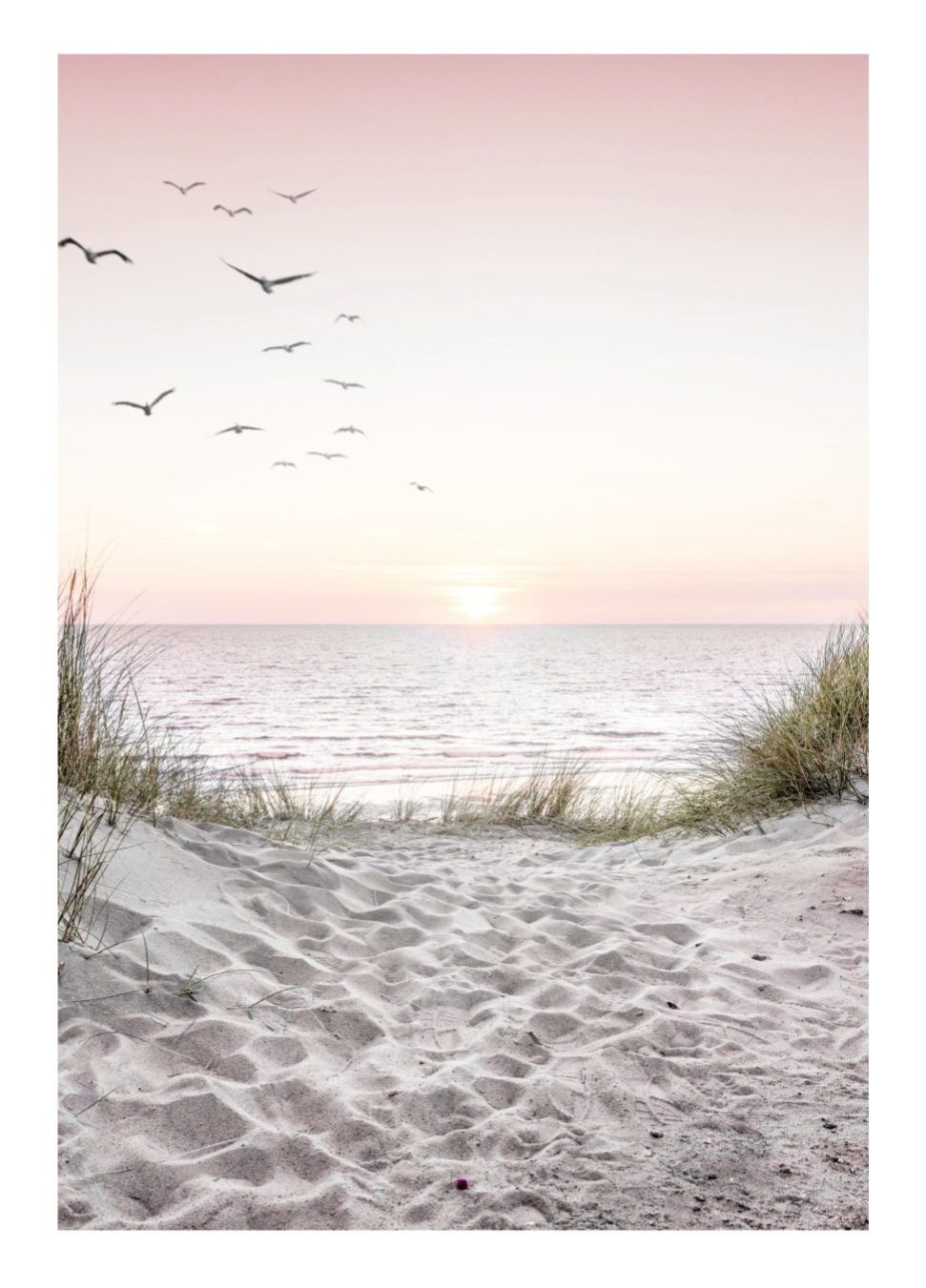 Silence at Sunrice - 50x70 plakat - Billede 2