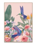 Hummingbirds plakat - 50x70 cm