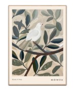 Dove in tree x Mowzu plakat - 50x70 cm