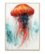 Medusa Sea Life plakat Str. A3