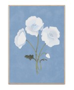White On Blue by Goed Blauw - 50x70 cm