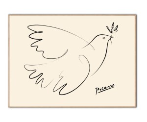 Picasso Peace Dove plakat - 50x70 cm