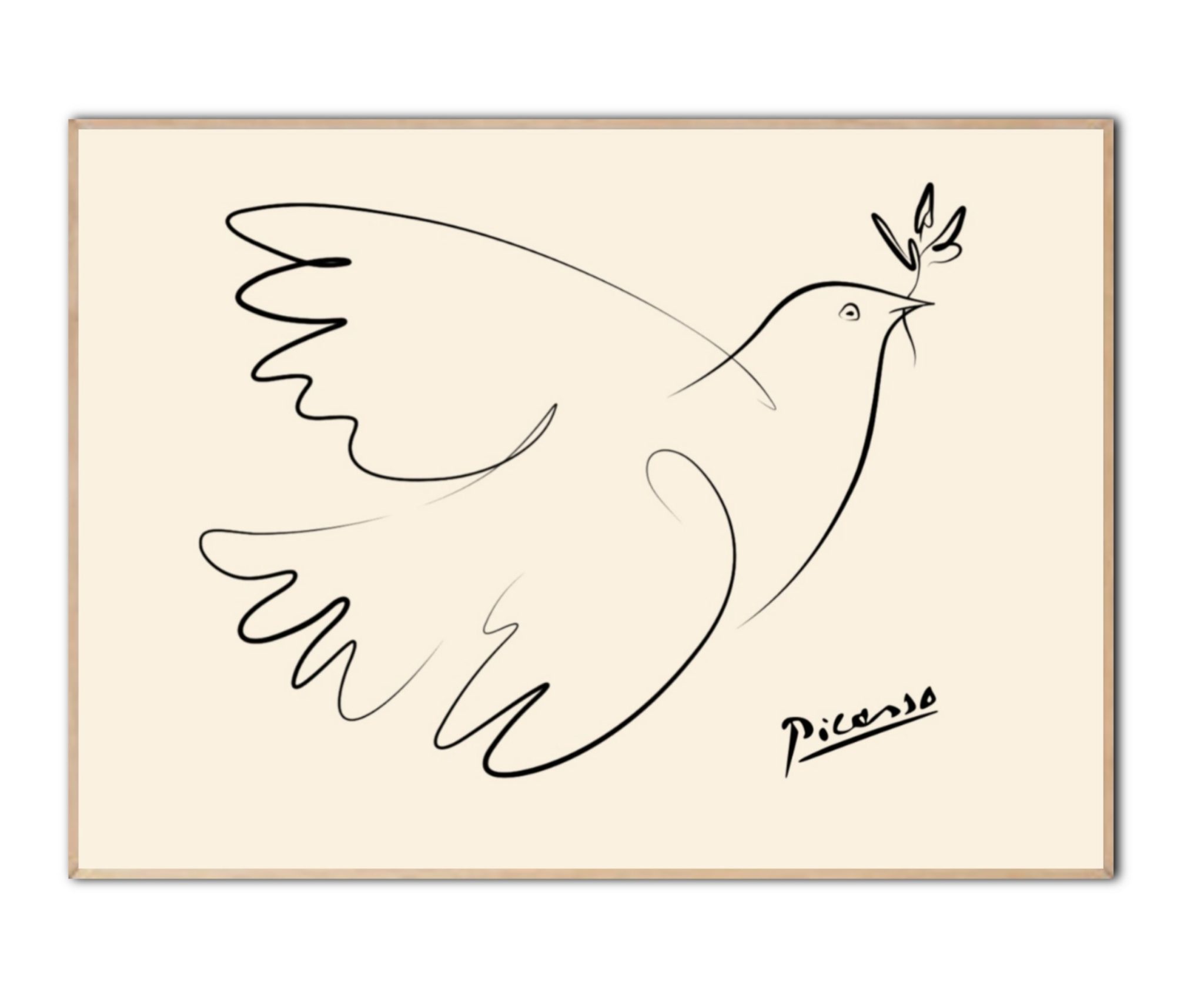 Picasso Peace Dove plakat - 50x70 cm