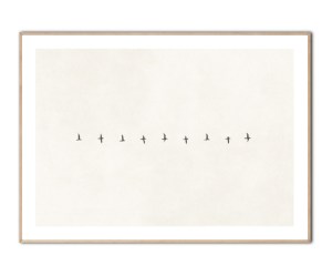 Birds flying on a row plakat, 50x70 cm