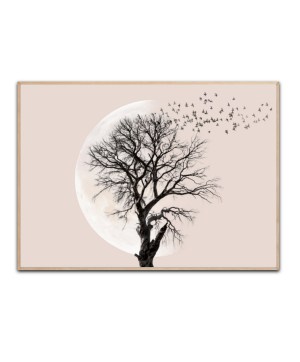 Fly by plakat 50x70 cm