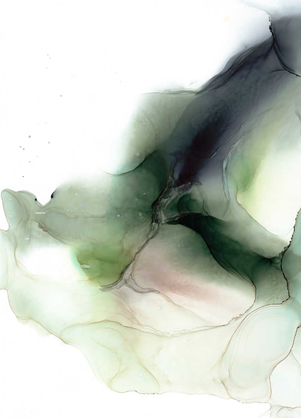 Pine II By Julie Bill plakat, Str. A3 (30x42 cm) - Billede 2